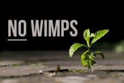 Ten Reasons Ministry Isn’t for Wimps