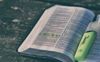 Sola Scriptura: Returning to the Fount of the Word