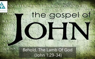 #9: Behold, The Lamb of God[Sermon]