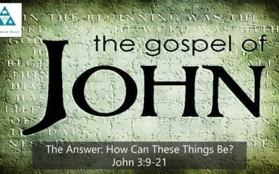 #17: The Answer: How Can These Things Be?[Sermon]