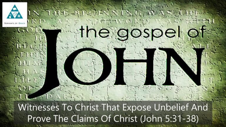 Witnesses to Christ that Expose Unbelief and Prove The Claims of Christ