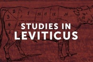 Dave Dunham – Studies in Leviticus: A Fungus Among Us (Leviticus 13 & 14)