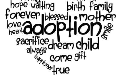 Lessons on the Journey of Adoption