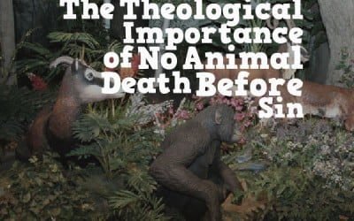 Lessons from the Garden:  The Theological Importance of No Animal Death Before Sin