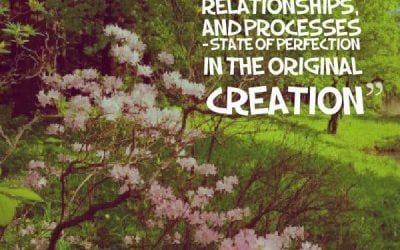 Lessons From the Garden: Existence, Relationships, and Processes – State of Perfection in the Original Creation