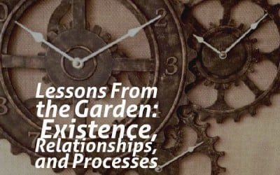 Lessons From the Garden: Existence, Relationships, and Processes