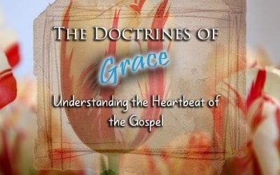 The Doctrines of Grace: Understanding the Heartbeat of the Gospel
