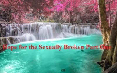 Hope for the Sexually Broken Part One