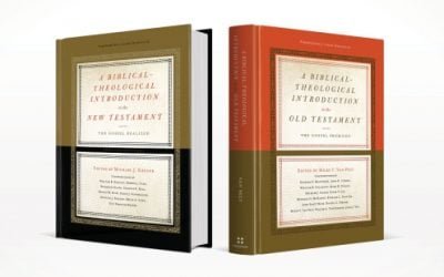 A Biblical-Theological Introduction to the Old and New Testament
