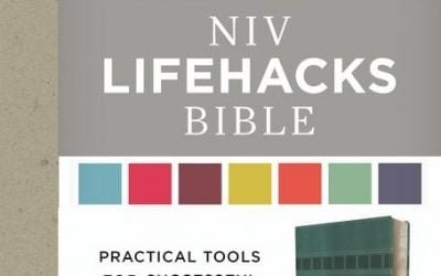 NIV LIFEHACKS BIBLE