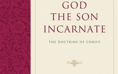 God the Son Incarnate: The Doctrine of Christ (Stephen J. Wellum)