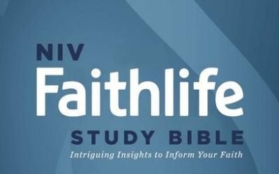 NIV Faithlife Study Bible by Zondervan