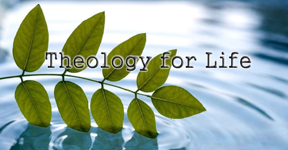Theology for Life 1