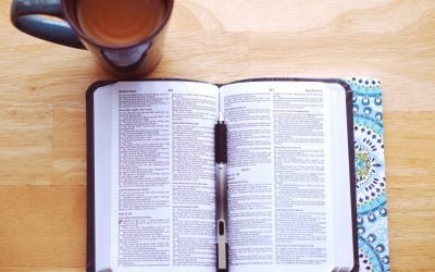 Marinating in God’s Word