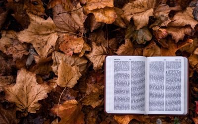 Four Scriptures to Read When You’re Dealing with Lack of Assurance