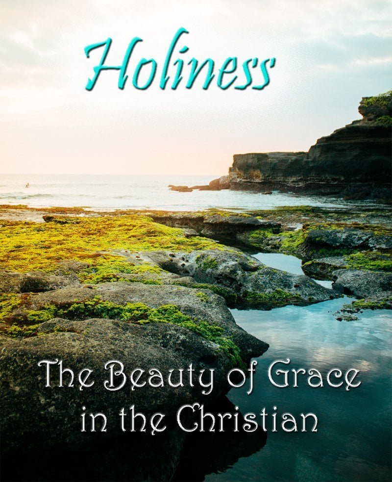 Holiness: The Beauty of Grace in the Christian 2