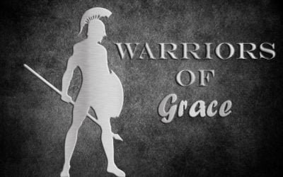 Introduction to Warriors of Grace and What it Means to be Above Reproach