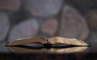 Theology Helps Christians Mature in Christ