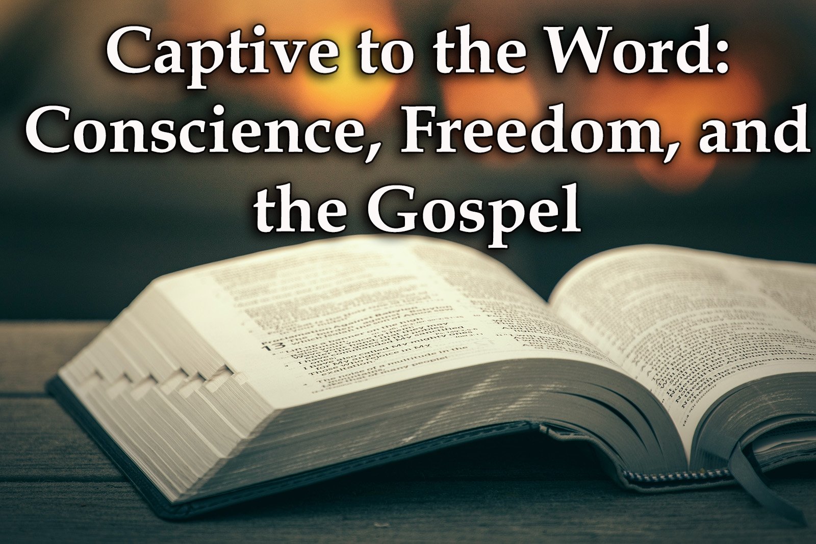 Captive to the Word Conscience Freedom and the Gospel