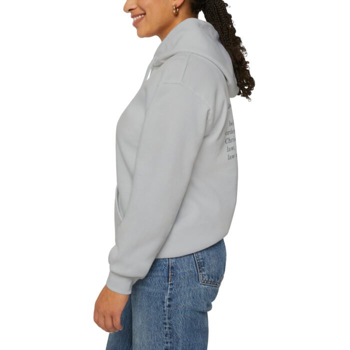 Sola Fide Unisex Heavy Blend™ Hooded Sweatshirt 38